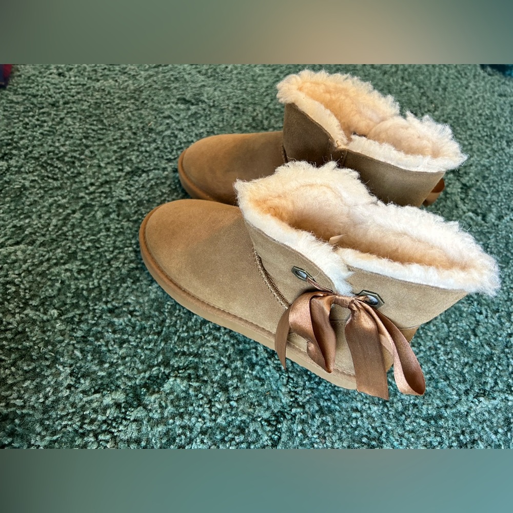 Pawz Winter Ugg Dupe